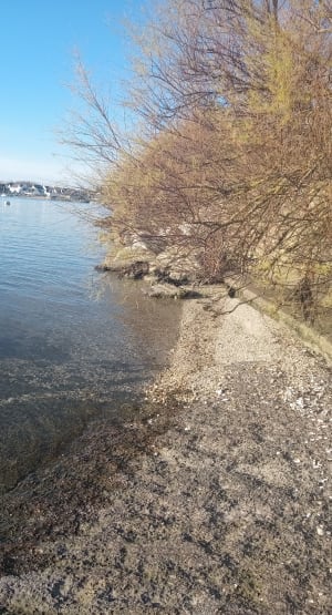 Rondleiding door Kerner Island - Riantec - 7