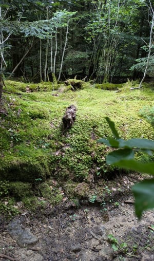 La cascade de Gumières - Gumières - 23