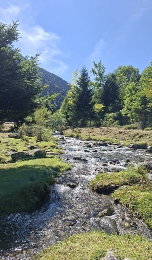 Entre torrent et cascade à Beaudean - Beaudean - 38