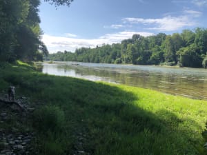 Le long de la Garonne par Gagnac - Gagnac-sur-Garonne - 3