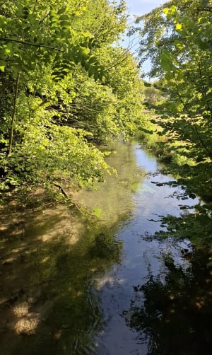 Boucle du Château d'Imbleville - Val-de-Saâne - 4