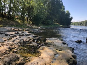 Le long de la Garonne par Gagnac - Gagnac-sur-Garonne - 7