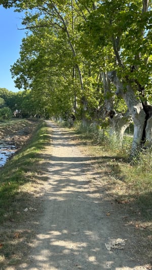 Vijvers in overvloed en vogelspotten vanuit Pérols - Pérols - 5