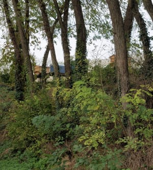 Balade sur Saint Clair du Rhône et Saint Prim. - Lilou - 21