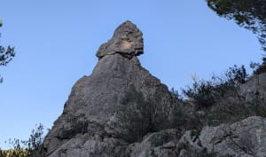 Notre Dame des Auzils Gruissan - Gruissan - 7