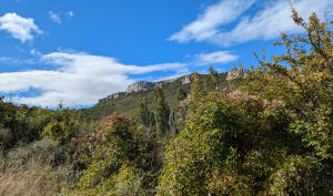 Dent de Rez depuis Saint Vincent - Gras - 21