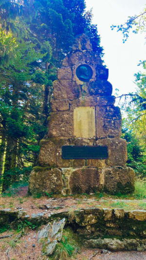 Wandelen naar Mont Aigoual - Val-d'Aigoual - 13