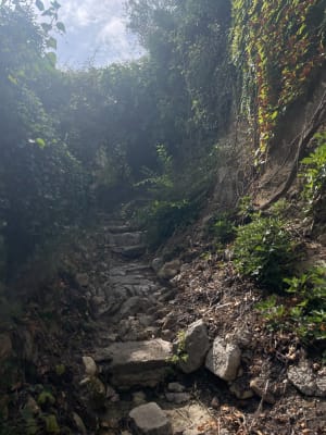Les Gorges du Gardon - Sainte-Anastasie - 3