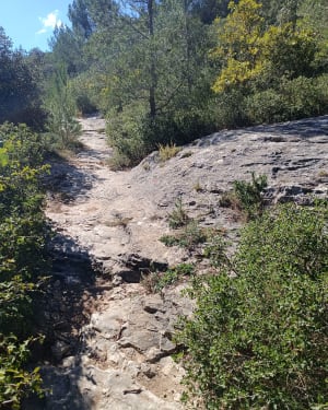 Sint-Jacobsheuvel - Cavaillon - 23