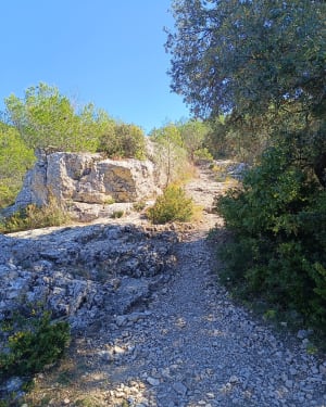 Sint-Jacobsheuvel - Cavaillon - 25