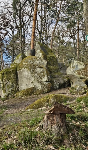 Dambach-la-ville / Bernstein / Rochers des celtes / Dieffenthal - Dambach-la-ville - 12