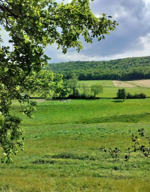 Sous le Mont d'Ancre à Hamars - Hamars - 6