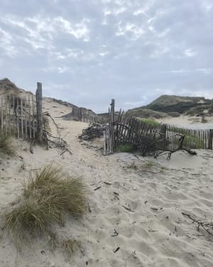 La Dune de la slack - Ambleteuse - 16