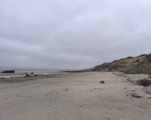 La Dune de la slack - Ambleteuse - 17
