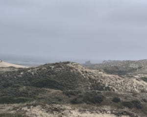 La Dune de la slack - Ambleteuse - 18