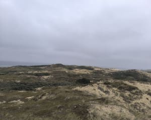 La Dune de la slack - Ambleteuse - 19
