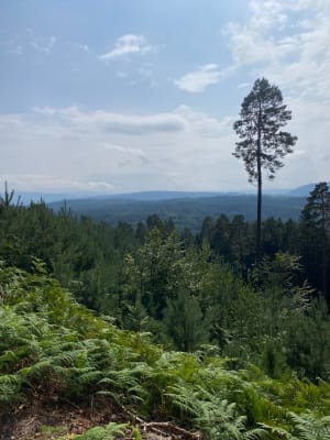 Anozel-rots rond Saint-Dié-des-Vosges - Victoire - 3
