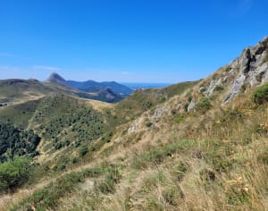Belle randonnée sur les alpages, départ et retour le Lioran. - Laveissière - 6
