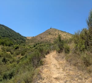 Boucle depuis Tourrettes-sur-Loup et panorama grandiose - Tourrettes-sur-Loup - 3
