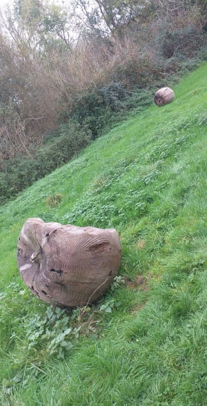 Balade aux étangs de la Balastière - SEVERINE - 10