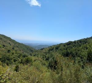 Boucle depuis Tourrettes-sur-Loup et panorama grandiose - Tourrettes-sur-Loup - 4