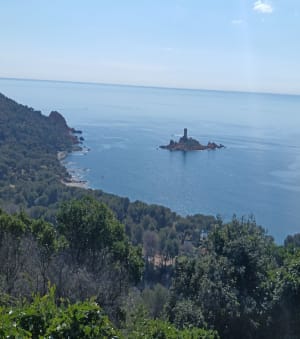Le Crapa de St Raphaël - Saint-Raphaël - 17
