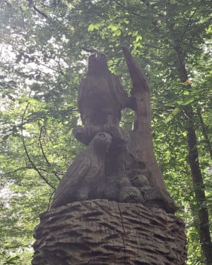 Sculptures en forêt - Paucourt - 21