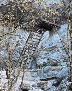 Blanc-Martelweg vanuit Rougon - Rougon - 25