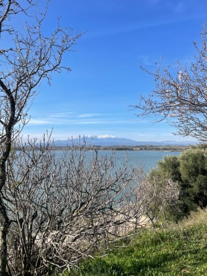 Tour du lac de Villeneuve-de-la-Raho - Montescot - 13