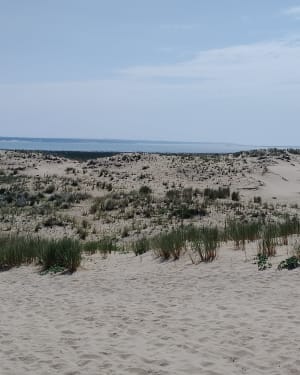Phare de la coubre - La Tremblade - 7