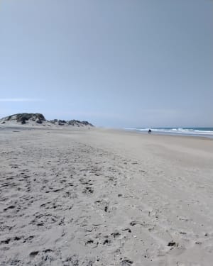 Phare de la coubre - La Tremblade - 8