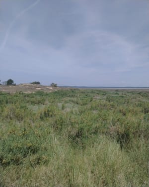 Phare de la coubre - La Tremblade - 9