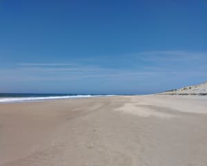Phare de la coubre - La Tremblade - 11