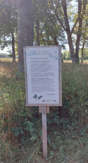 Ile de Chaillac - Saint-Junien - 9