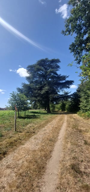 Ile de Chaillac - Saint-Junien - 10