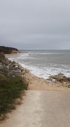 Petite boucle terre-mer à Dolus-d'Oléron - Dolus-d'Oléron - 11