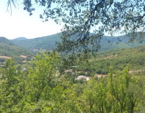 Au-dessus de la vallée de Gravezon et flore locale - Lunas - 4