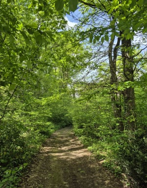 Osmose avec la nature autour de Chavanoz - Chavanoz - 5