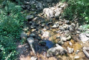 Promenade Jarrezienne par le Garon - Soucieu-en-Jarrest - 6