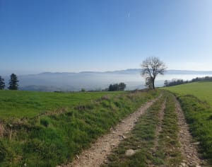 Dans les Monts du Lyonnais, par Grand Mont, depuis Riverie - Riverie - 30