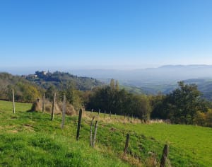 Dans les Monts du Lyonnais, par Grand Mont, depuis Riverie - Riverie - 31