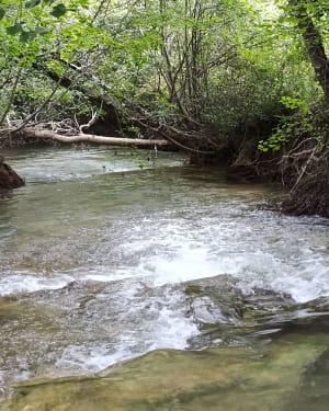 Les deux sources depuis Saint-Cernin, par la Roche - Jac - 8