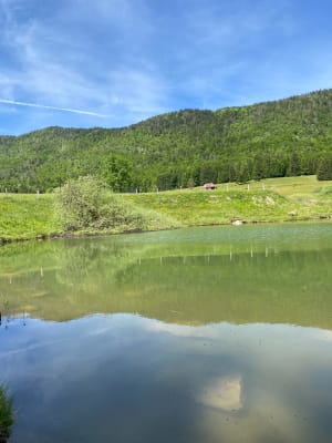Moment de détente aux alpages et au lac du Mariet - Montagny, Arith - 9