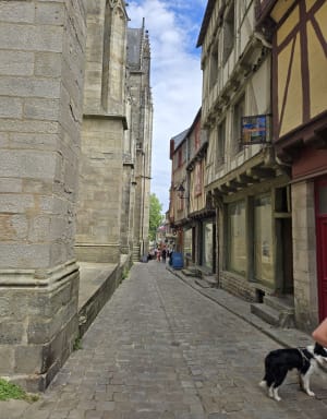 Vannes et sa boucle historique - Vannes 56000 - 17
