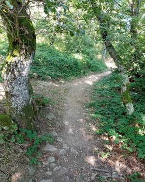 Balade entre les Roches - Vergisson - 15