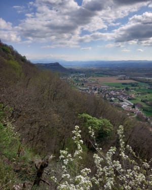 Cascade de Glandieu et Balade par Brégnier - Brégnier-Cordon - 51