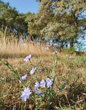 Rando Brouzet-lès-Quissac - Sébastien - 3