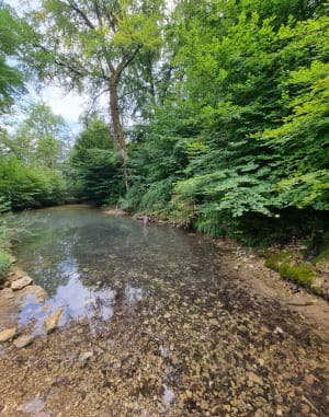 Boucle du Moulin de l’étang vers La Croix de Sevrier - Sévrier - 18