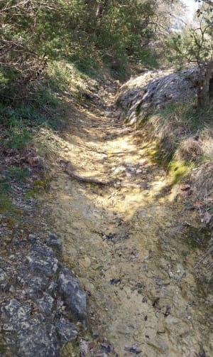 Randonnée autour de Saint-Montan en passant par Larnas - Saint-Montan - 8