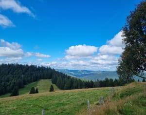 Chaume du grand Ventron par le petit Ventron - magdalena - 9